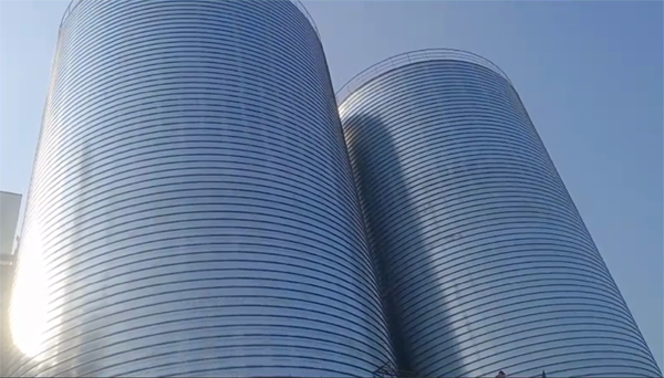 凤阳2座混凝土高架卷板仓